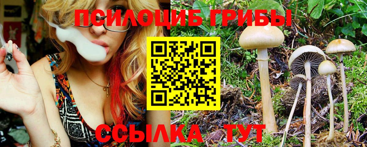 Псилоцибиновые грибы Magic Shrooms Сибай