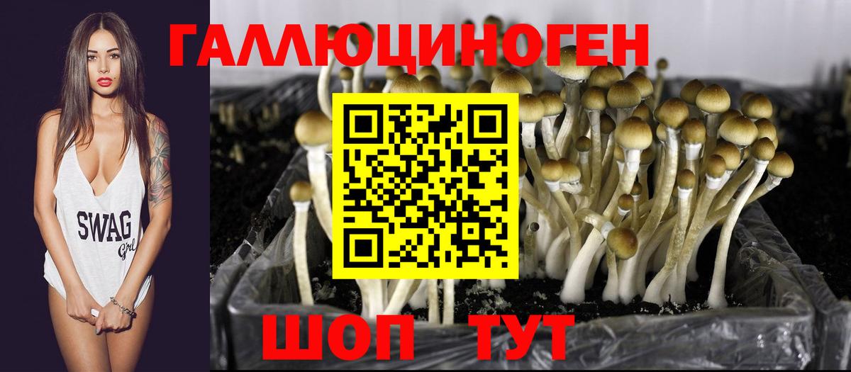 Псилоцибиновые грибы Psilocybe  Псилоцибиновые грибы ЛСД  Вход с VPN  Сибай 